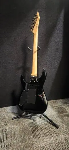 ESP Guitars - LKH202 2